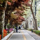 태형 | 잠실 조용한 고기집 잠실역 삼겹살 맛집 노포 태형식당