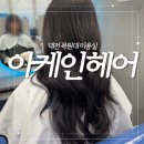 아케인커피 | 대전 목원대 미용실 [아케인헤어] 그레이스펌 후기