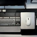 김수환무네 | 나의 경량마우스(드래곤플라이 잠자리 VXE R1 Pro Max)