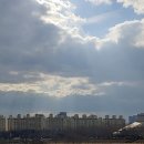 대덕대로-6 이미지