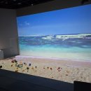 강릉포레스트 이미지