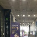 라인에스테 이미지