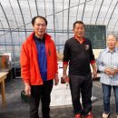 김일병농장 이미지