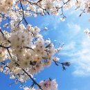 별별반찬 이미지