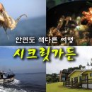 시크릿 가든 펜션 이미지