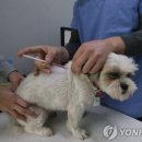 제주우리동물병원 이미지