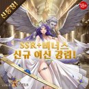 미의여신 - 북구 설죽로 419 | 미의여신