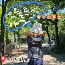 우리까운 | 아이랑 놀기 좋은 곳 6탄 : 대전 오월드 동물원 재개장 늑구 보러 출동(오픈런/입장료/사파리 후기)