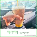 메가커피화천점 | 메가커피 봄시즌 신상음료 슈크림라떼 내돈내산 후기