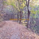 청풍마을펜션 이미지