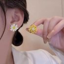 민들레패션
