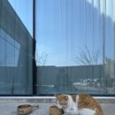 아르비토 | 사천 바다 뷰 카페 끝판왕 아르비토카페 솔직후기