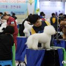 기량축산 이미지