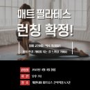 케렌시아 피트니스 간석역점 이미지