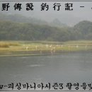 안골 낚시터 이미지