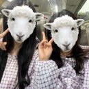 육각수마을 버스정거장 일원 | 대만 참좋은여행 패키지 영화 비정성시,센과치히로 ‘지우펀’