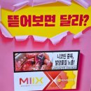 릴 하이브리드 믹스 보나썸(MIIX BONASOME) 신상 스틱 후기