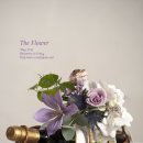 벤자민&데이지 이미지