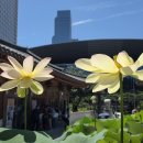 박정란농장 이미지