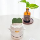 호야농장 | 하트호야 오리가족 다육이화분 집 안 분위기가 확 달라지는 너무 귀여운 인테리어화분