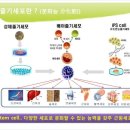 (주)미래바이오 이미지