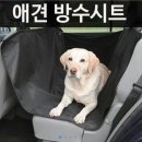 애견 카시트 이미지