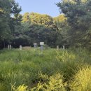 정지운선생묘 이미지