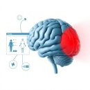 (주)플러스랩에스 이미지