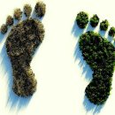 강화자동차 이미지