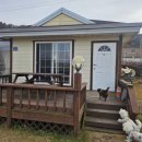 제부어시장 이미지