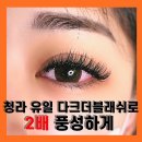 다뷰스튜디오