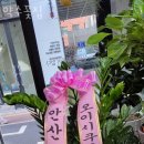 약수꽃집 이미지
