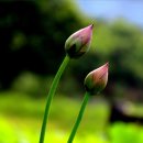 선민 - 중구 퇴계로81길 7-12 | 선민