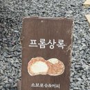 상록 | 배롱나무 포토존부터 소보로슈까지! 황리단길 감성카페 프롬상록 솔직 후기