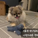 7형제약국 이미지