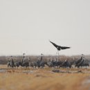 남도삼백리길(11코스) 이미지