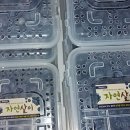 푸른살이농장 이미지