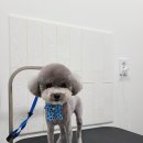 무브멍트 이미지