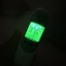 아라주는딸기영농조합법인 | 천고마비 아니고 천고맨듀비 🐎