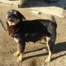 보미농장 이미지