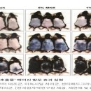 초록소비 이미지