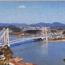 진도 Daum카페