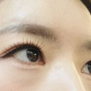 오보테 이미지