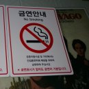탄현면사무소 이미지