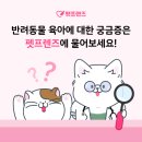 펫프렌즈 이미지