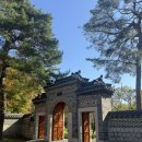 호암세월 | 호암미술관 옆 전통식 정원{희원}에서의 가을 산책과 감성 사진, 단풍 스팟