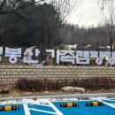 서울 근교 캠핑장 은평구 앵봉산가족캠핑장 후기