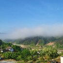 배때기네하우스 이미지