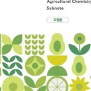 노트로담 이미지