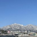 니어앤디어브런치카페 이미지